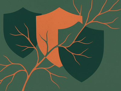 Abstract illustration representing cybersecurity layers and network vulnerabilities