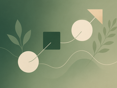 Abstract representation of program evolution and collaborative improvement