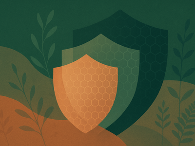 Abstract geometric patterns representing security vulnerability documentation in forest green tones